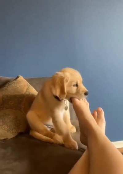 Must... monch... foot