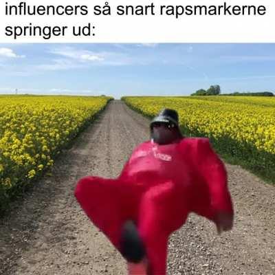Rapssæsonen er over os