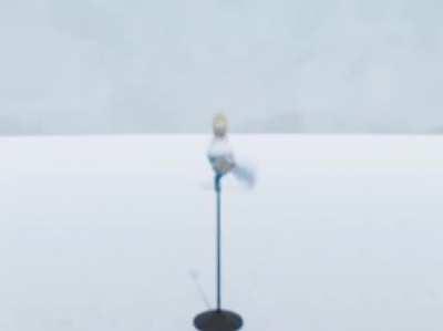 Yo pinto toda la casa