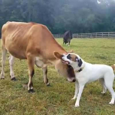 This is Buckets lazy way of playing.