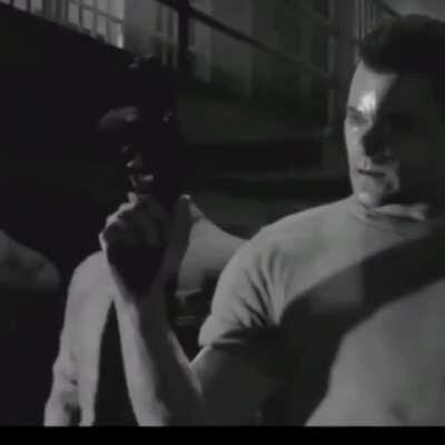 me and the bois when furry