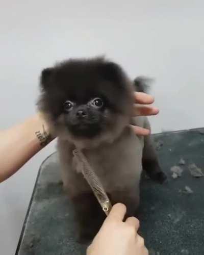 Moving with the scissors