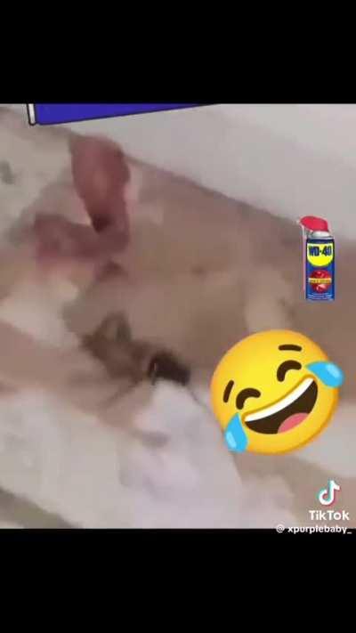 Bro put him on silent💀