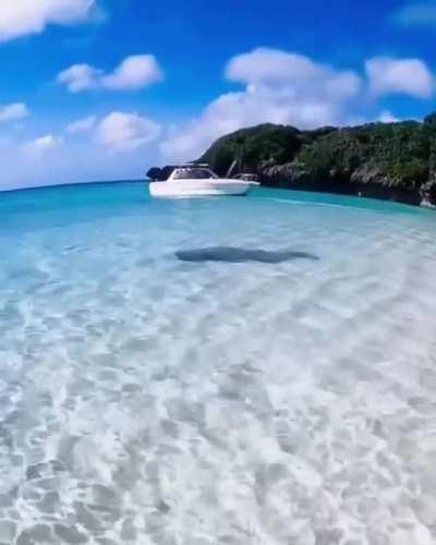 Clear waters are clear in Okinawa, Japan.