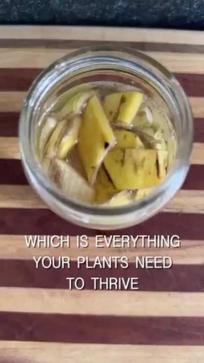 Well that took a weird turn