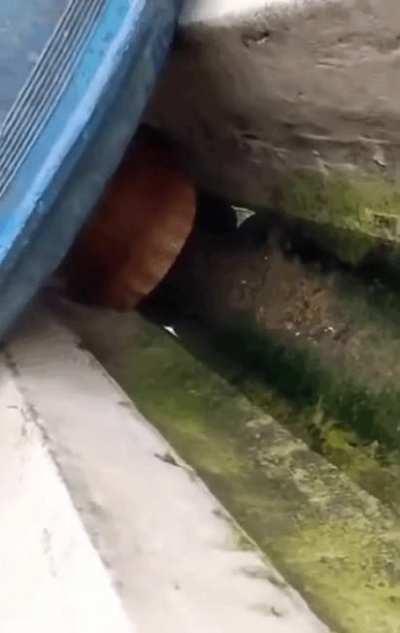 Strange... For some reason, the water does not go away...