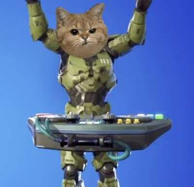 Give us Meowster Chief!