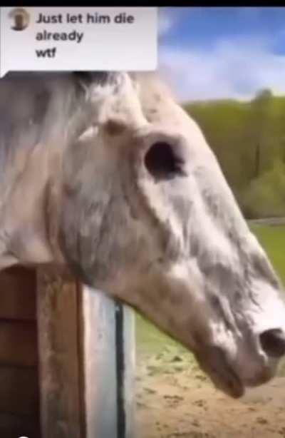 Found a skeleton trap