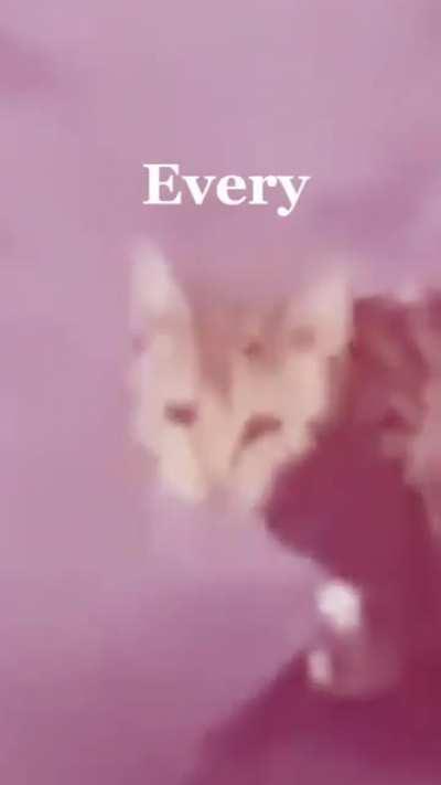 I'm 15 and this is yeet