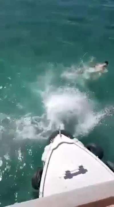 Jumping from the pier