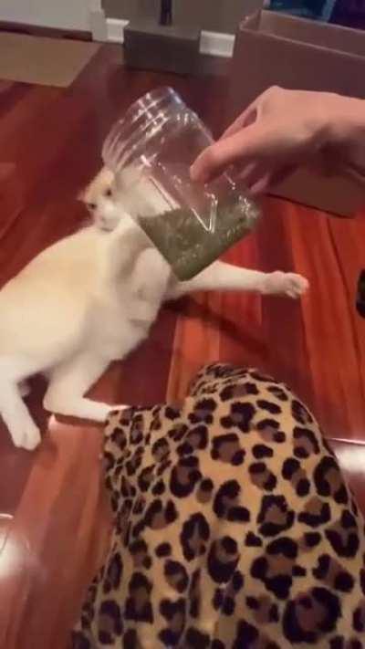 Y'all got any more of them catnip!