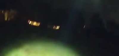 When love, loyalty, and fur save the day 🐶✨