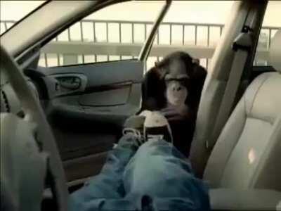 Woods serviços de segurança de carros