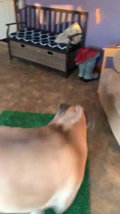 Suggested for this sub