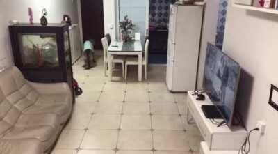 Look at the fish tank