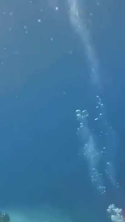 While the divers were exploring the sea a sudden earthquake occurred