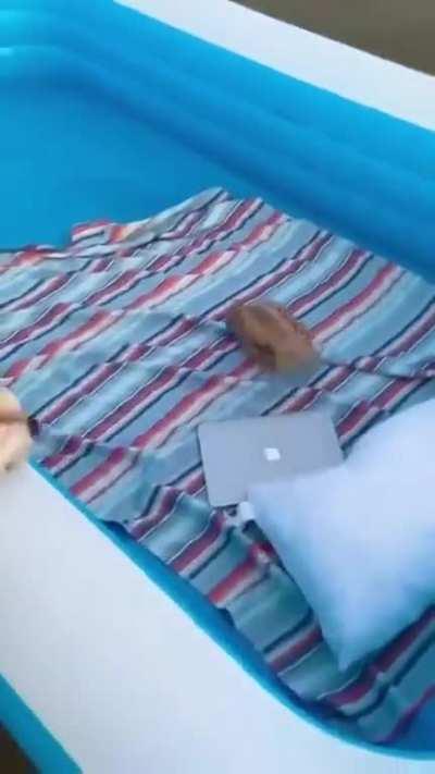 What could go wrong?