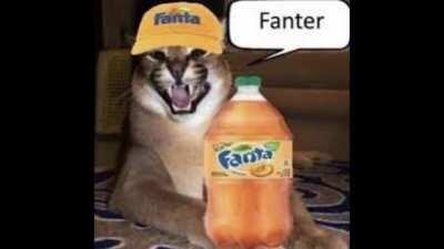 I'm Learning How To Use Shotcut so I Decided To Make A Slideshow Out Of All The Floppas I Downloaded to my PC.