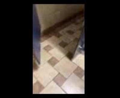 Who did this and how?????