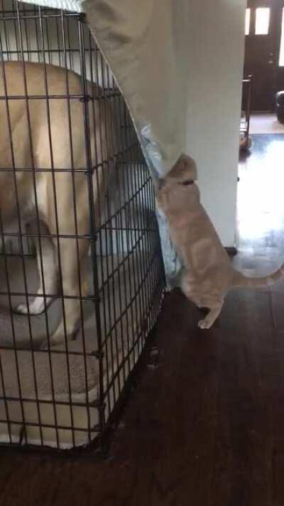 Asshole being an asshole.