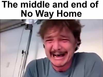 The beginning and end of No Way Home in a nutshell
