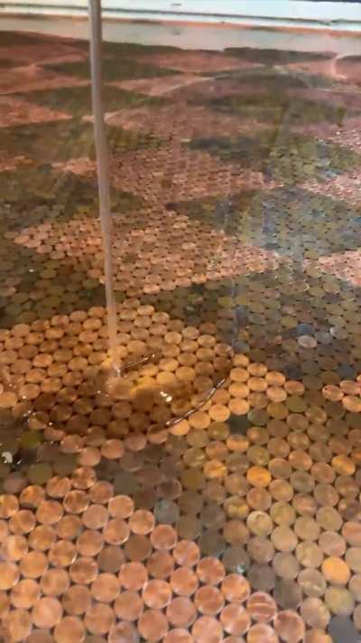 Man covered his floor completely with coins