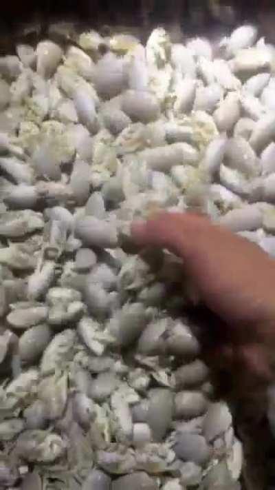 They're just sleeping.