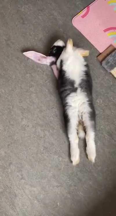 Ulf scared me for a while..