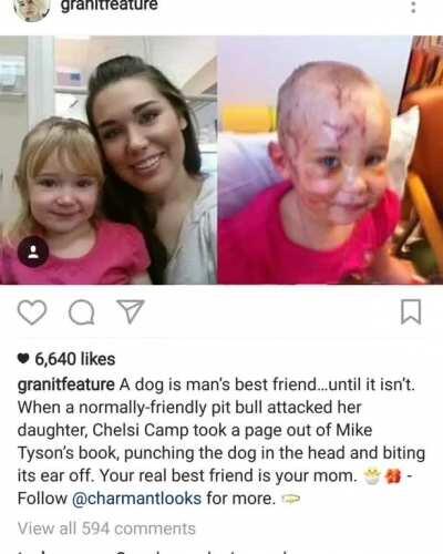 This piece of work posted an Instagram video blaming a child for a dog attack. This is the same man who was featured on The Dodo for having his ILLEGAL pitbull taken away from him.