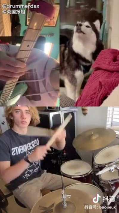 Haiku Husky’s jam band