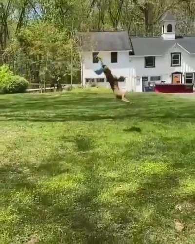 Если кто говорит по Алабамски