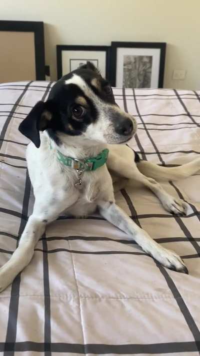 How my girl asks for love