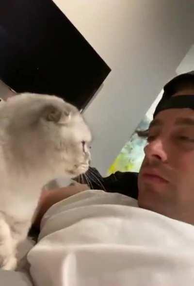 Human licked cat's soul
