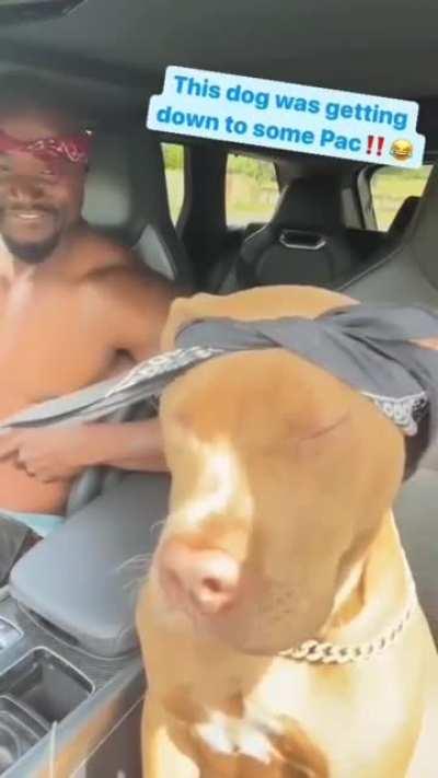 dog owner loves his dog