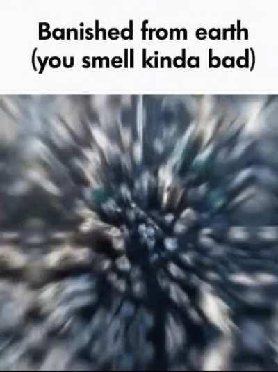 Yuor balls smell wunk