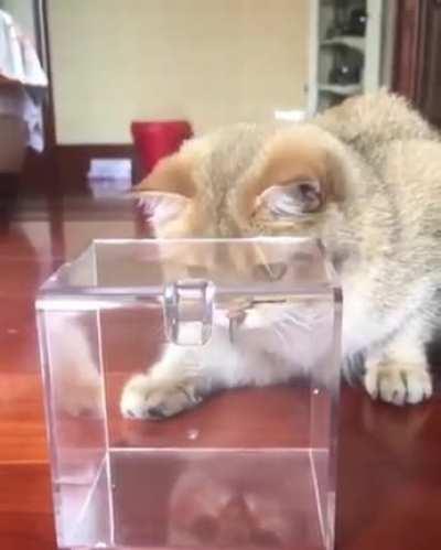 A rare moment caught on camera