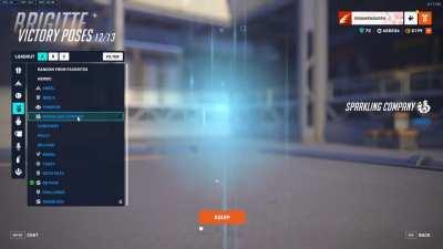 Blizzard forgot to turn Talon Brigitte's cat to black color for LNY victory pose.