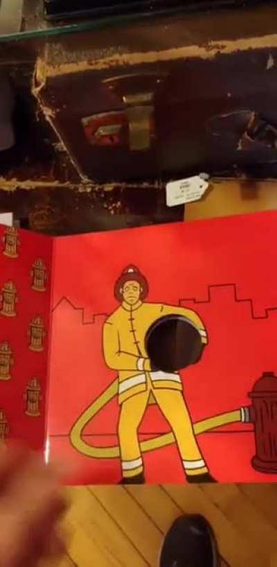 What kind of book is this??