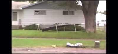 WCGW trying to catch a tranquilized bear with a trampoline