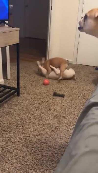 When U both Hella horny and lose control