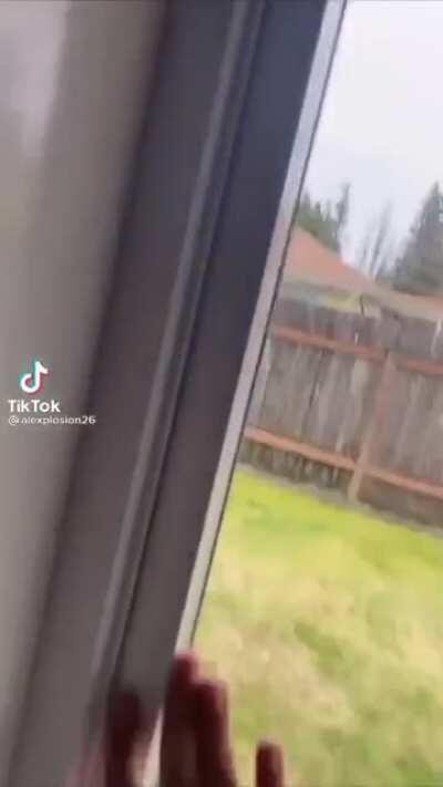 The unlikely sequel to strike me down zeus