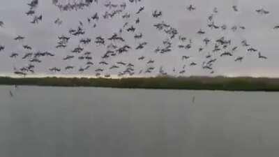 All together guys in 3...2...1...go!