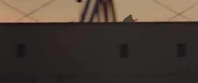 Aerobatics Online in a nutshell