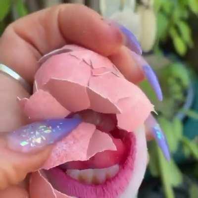 Words cannot describe how weirded out I'm by this egg