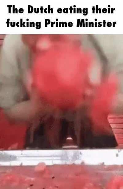 Absolutely delicious