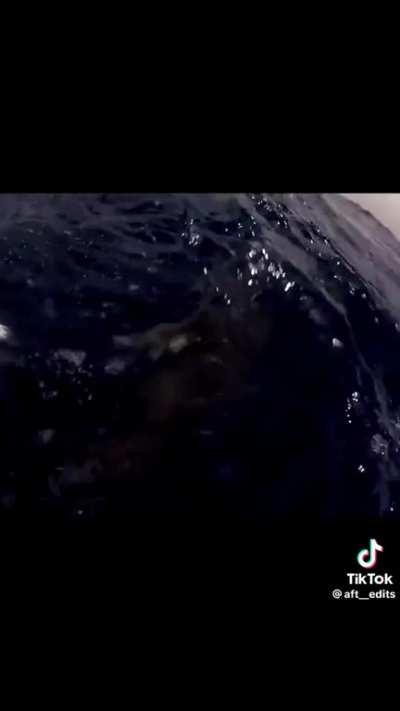 What a story to tell