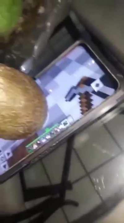 The power of Avocado 