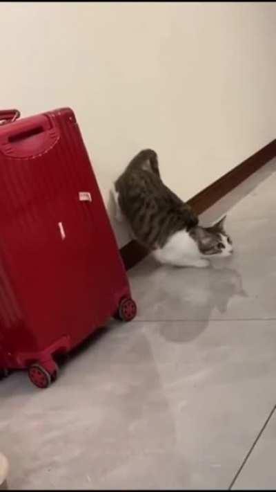 getting leverage for maximum dash speed