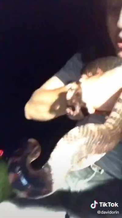 Dude yelling and freaking the fuck out in ecstasy in the middle of the night when he finds 2 snakes mating
