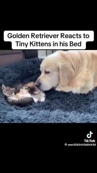 the look of defeat in the end